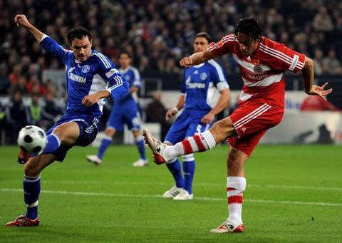 的阵容中 的阵容中